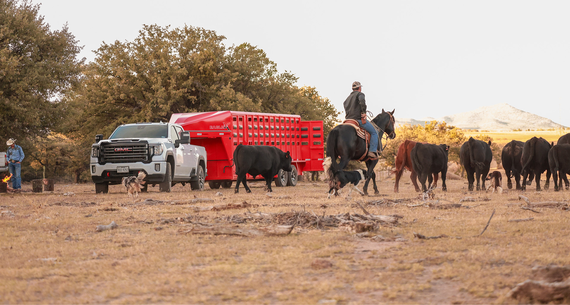 Check Our Livestock Trailers - Eagle X